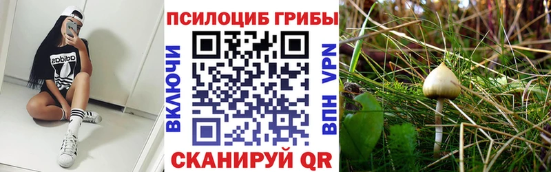 Купить  Мензелинск  Псилоцибиновые грибы Psilocybine cubensis 